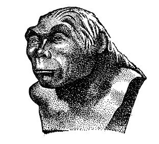 Древние китайцы: проблемы этногенеза - _1372833790_a481.jpg