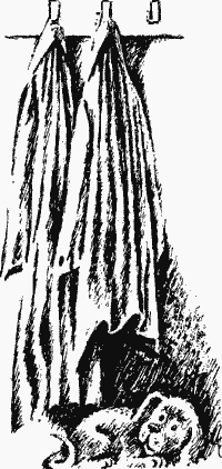 Кирпичные острова - pirat.png