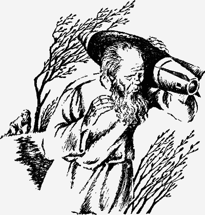 Лазоревый петух моего детства (сборник) - i_004.png