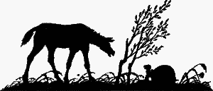 Лазоревый петух моего детства (сборник) - i_015.png