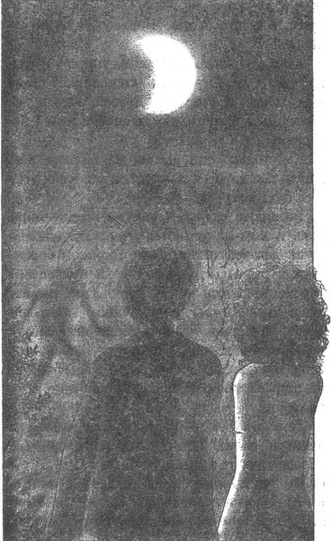 Колючник - _pic12.jpg