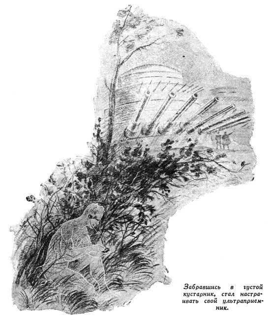 Мимикрин доктора Ильичева - img005.jpg