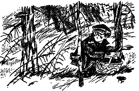 Белые грибы - i_001.png