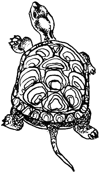 Портрет Кати Е. - i_006.png