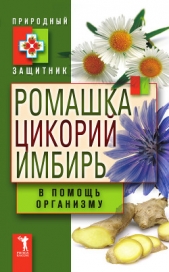 Ромашка, цикорий, имбирь в помощь организму - автор Николаева Юлия Николаевна 