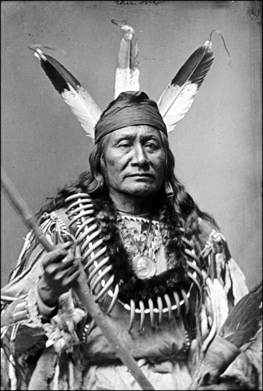 Завоевание Дикого Запада. «Хороший индеец – мертвый индеец» - _0362.jpg