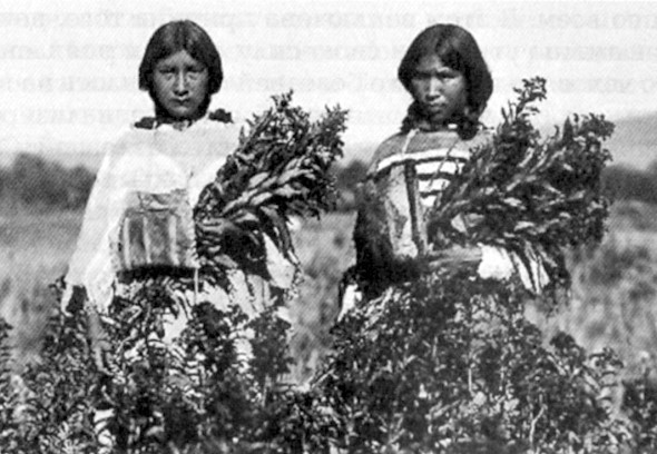 Наделенные силой. Тайны индейских шаманов - _047.jpg