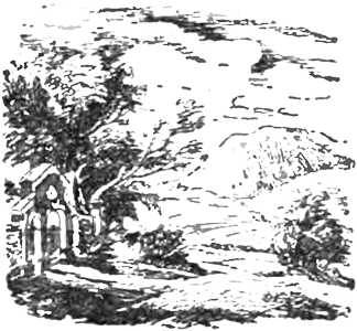 Рассказы - _007_Lesaipastbishha2.png