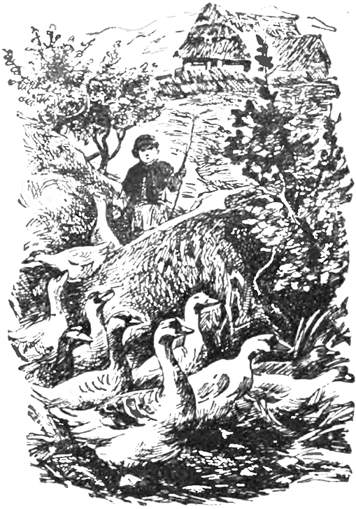 Рассказы - _010_SHkolnajanauka1.png