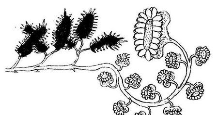 Танґо смерті - i_009.jpg