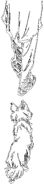 Тяпа, Борька и ракета - i_022.png