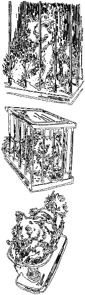 Тяпа, Борька и ракета - i_024.png