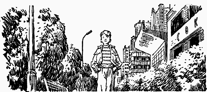 Электроник – мальчик из чемодана (с илл.) - _06.png