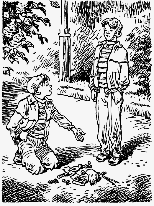 Электроник – мальчик из чемодана (с илл.) - _14.png