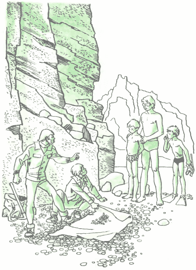 Синева до самого солнца, или Повесть о том, что случилось с Васей Соломкиным у давно потухшего вулкана - i_015.png