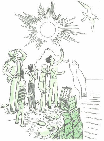 Синева до самого солнца, или Повесть о том, что случилось с Васей Соломкиным у давно потухшего вулкана - i_016.png