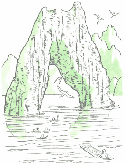 Синева до самого солнца, или Повесть о том, что случилось с Васей Соломкиным у давно потухшего вулкана - i_017.png