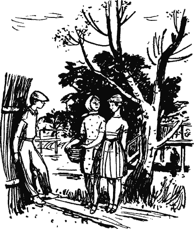 Трава и солнце - Any2FbImgLoader16