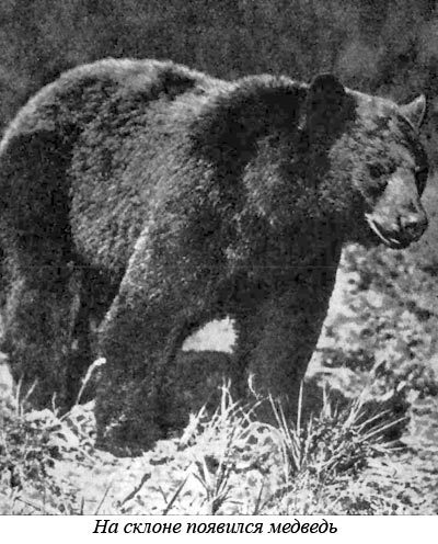 Канада, пахнущая смолой - i_023.jpg