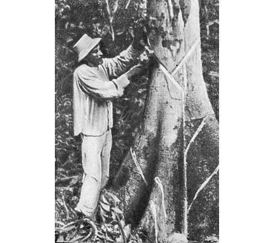 Рыбы поют в Укаяли - i_059.jpg