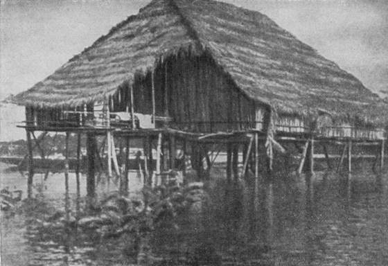 Рыбы поют в Укаяли - i_062.jpg