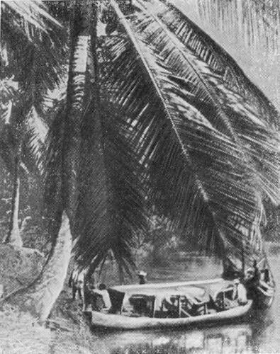 Рыбы поют в Укаяли - i_064.jpg