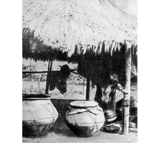 Рыбы поют в Укаяли - i_067.jpg