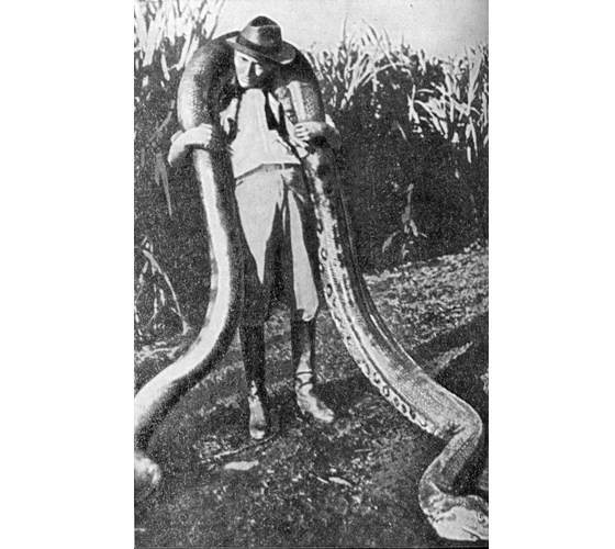 Рыбы поют в Укаяли - i_082.jpg