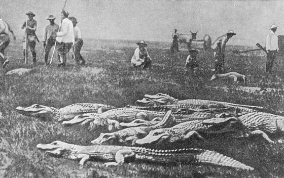 Рыбы поют в Укаяли - i_084.jpg