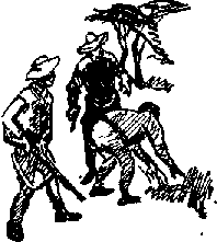 Тайна Рио де Оро - i_027.png