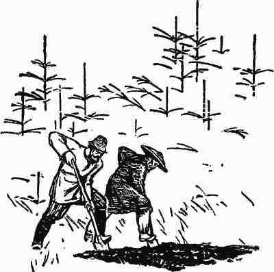 Амур-батюшка - i_014.jpg