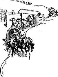 Капитан Невельской (др. изд.) - pic_8.jpg