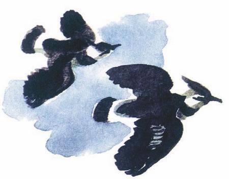 Баба Яга и ее внучки Ягобабочки - i_008.jpg