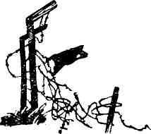 На дорогах войны - img_42.jpeg