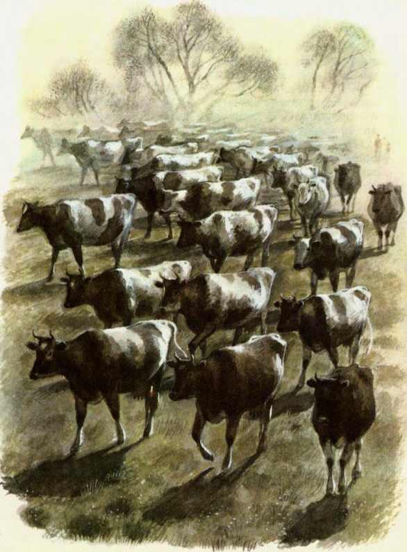 При ясном солнышке - i_018.jpg