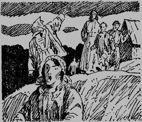 Чистый след горностая - i_005.png