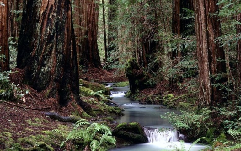 Амазонки за кромкой (СИ) - i_001.jpg