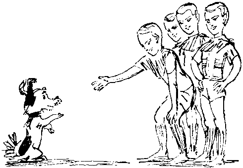 Черный свет (сборник) - pic_28.png