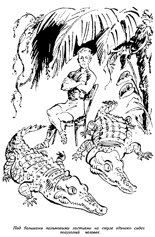 Черный свет (сборник) - pic_56.png