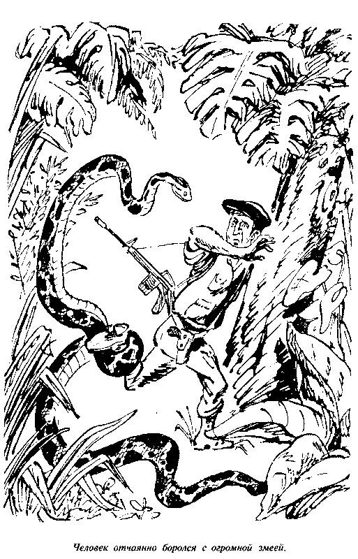 Черный свет (сборник) - pic_61.png