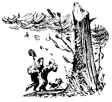 Черный свет (сборник) - pic_67.png