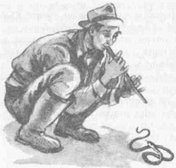 Бабушкина дорога - i_007.png