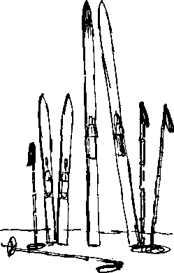 Каос и Бьёрнар - i_023.png