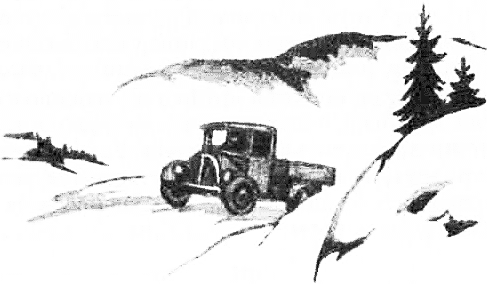 Папа, мама, восемь детей и грузовик (Художник Юхан Вестли) - i_001.png