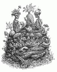 Секрет садоводов - _1.jpg