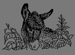 Новые кошки в доме - i_007.png