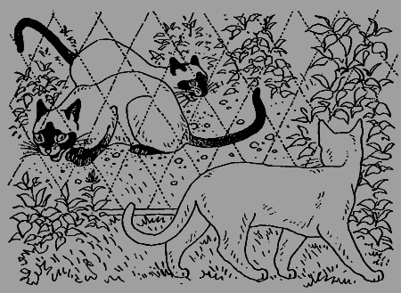 Новые кошки в доме - i_012.png