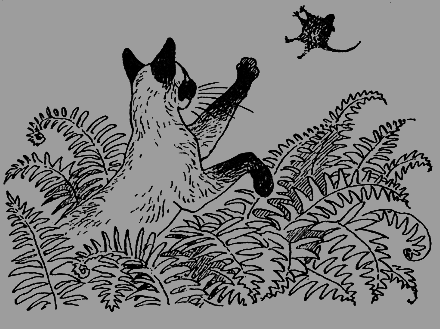 Новые кошки в доме - i_016.png