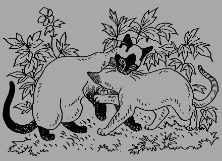 Новые кошки в доме - i_018.png