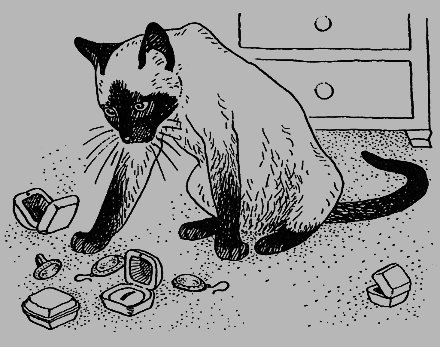 Новые кошки в доме - i_020.png